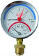 Termomanometru Radial 80mm 0-4 Bar 0-120°c 1/2"