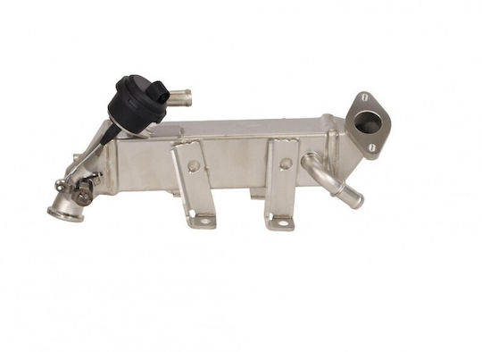 EGR Kühler Austausch Renault Master III