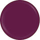 SensoPro Colored Gel Νυχιών Wine Story 5ml