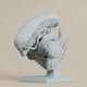 Άβαφη 3d Φιγούρα Alien Couple Bust Βάψιμο Diy Δώρο Χρώματα 30 Cm 1:6