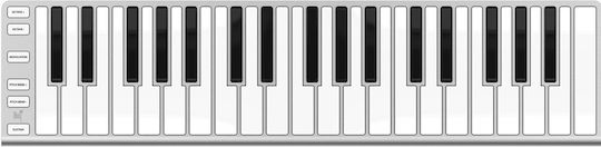 ESI Midi-Tastatur mit 37 Tasten Schwarz