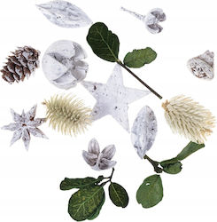 Frunze Decorative Mix Fructe Uscate Sărbători 20g Frunze Decorative Mix Fructe Uscate Sărbători 20g