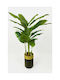 Stewehome Artificial Banana Tree 3 Trunks Black Pot Golden Arch Green 30x25x151 Cm