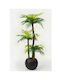 Stewehome Palmier Artificial 3 Tulpini Modern Recipient Sferic Negru