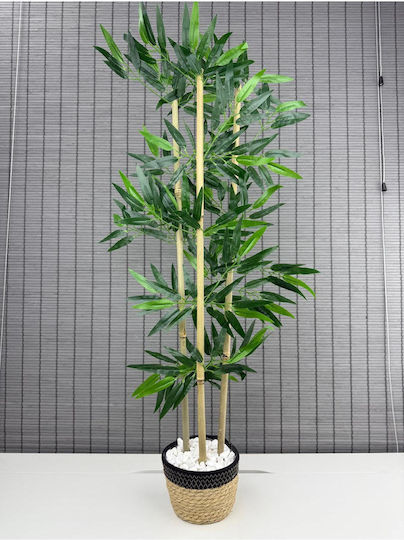 Stewehome Dekoratives Bambus Topfpflanze Geflochtene Rattan Baumwolltopf 3 Stämme Schwarze 16x12x81 Cm