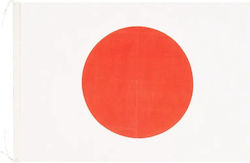 Olympus Sport Kampfsport-Handschützer Japan Flag