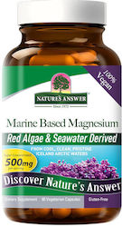 Nature's Answer Хелатен Магнезий Nature's Answer Хелатен Магнезий