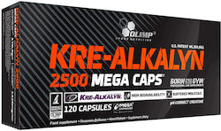 Olimp Sport Kre-alkalyn 2500 Mega Kapseln Olimp Sport 120 Stücke Olimp Sport Kre-alkalyn 2500 Mega Kapseln Olimp Sport 120 Stücke