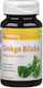 Vitaking Ginkgo Biloba 60mg Blätterextrakt Pflanzliche Nahrungsergänzungsmittel 90 Kapseln
