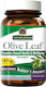 Nature's Answer Маслинов лист Nature's Answer 60 вегетариански капсули