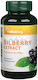 Vitaking Bilberry Extract 470 Mg Vitaking 90 Capsules