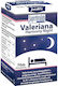 JutaVit Valeriana Harmony Night JutaVit 70 Comprimate