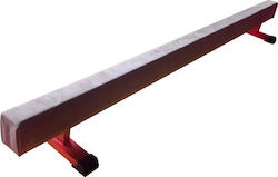 Master Balance Toy