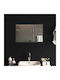 vidaXL Badezimmerspiegel Led 60x40cm Transparent