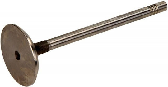 Βαλβίδα Εισαγωγής Vw 1.2/1.6 6v/8v Vl171800