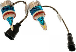 LED Bulb Hal H11 Set 2 Rightcs.m2 H11 6000K Hng