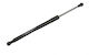 Air Spring Bmw 3 E90 04 Trunk Left Right 370mm 320n 51244394052