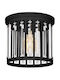 Luminex Ceiling Mount Light