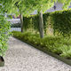 vidaXL Metallic Garden Hedge 1m x 15cm 10 Pieces