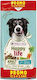 Happy Life 12.5kg Trockenfutter für Erwachsene Hunde mit Lachs, Fleisch, Huhn, Fisch und Gemüse
