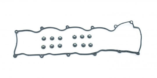 Set garnituri capac supape Ford Mazda 96 3596214