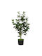 HomCom Artificial Camellia Realistic Flowers 176 Leaves Peva Black Pot Pp Cement White 83c-225v00wt