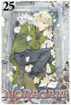 Noragami Stray God Gn Vol 25 Res (mr (c 1-1-1, RES MR