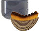 Massage Brush for the Body