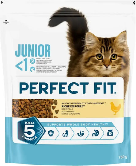 Whiskas Dry Cat Food For Kittens With Chicken 0.1kg