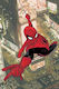 Amazing Spider-man Torn J Michael Straczynski PB