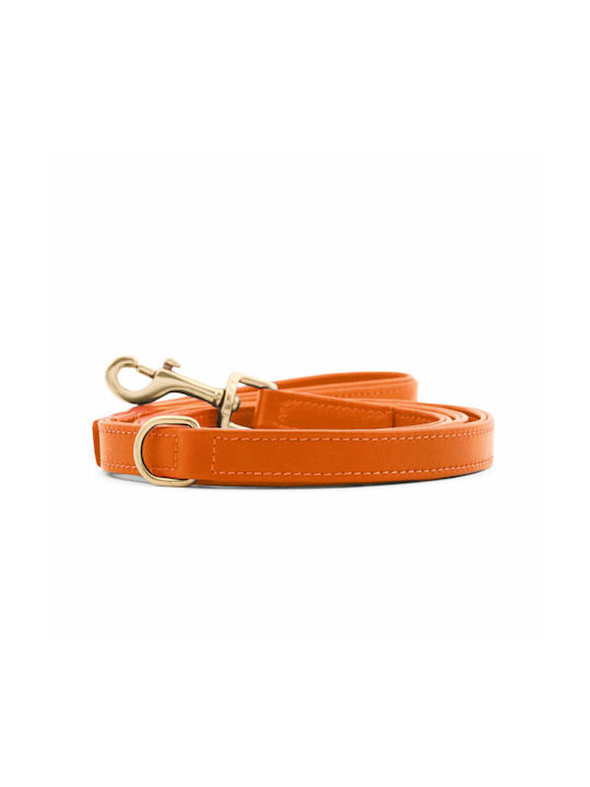 William Walker Adjustable Leather Dog Leash Amber Orange Plain Collection Xxs-xs 1.5cm