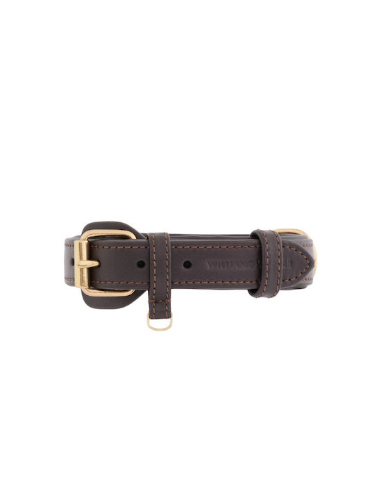 William Walker Guler Pentru Câini Din Piele Maro Plain Collection XXL 56cm