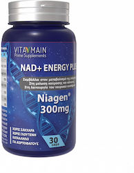 Vitamain Nad+ 300mg 30 Vegetable Capsules Vitamain Nad+ 300mg 30 Vegetable Capsules