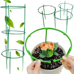 Suport Circular Pentru Plante Cu 3 Inele Verde Pentru O Dezvoltare Corectă
