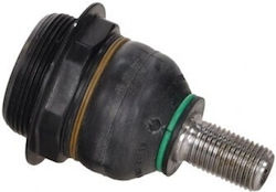 OE PSA Frontsystem für das Auto Citroen C4 I 04 Linkes oder Rechtes Unterteil 9817375080 OE PSA Frontsystem für das Auto Citroen C4 I 04 Linkes oder Rechtes Unterteil 9817375080