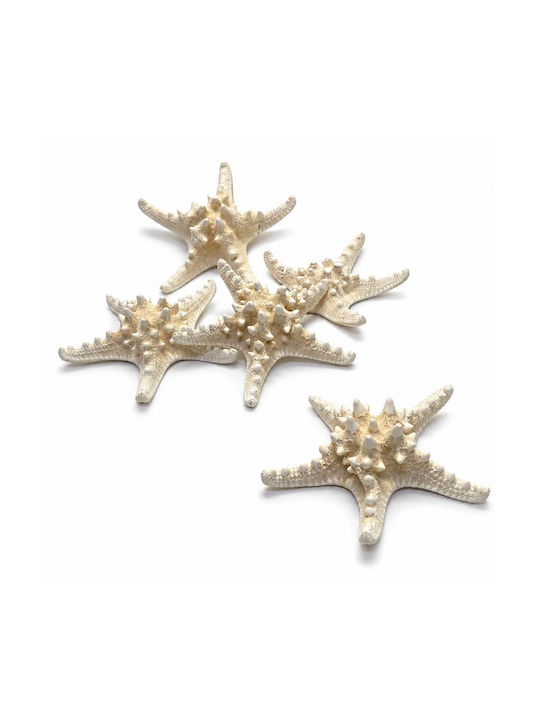 Set 5 Pieces Natural Dried Starfish White 15-17cm
