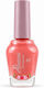 Alezori Glossy Top Coat Long Lasting Quick Dry Terracotta