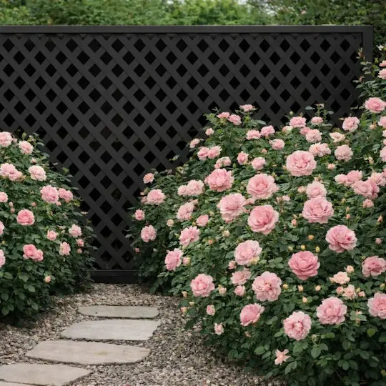 Garten-Spalier in Schwarz Farbe 240x120cm
