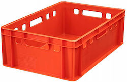 Container din Plastic