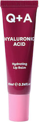 Q+A Natural Skincare Lip Balm Hyaluronic Acid Tinted Lip Balm 10ml Q+A Natural Skincare Lip Balm Hyaluronic Acid Tinted Lip Balm 10ml