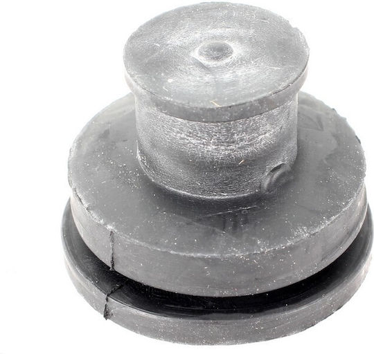 Clip capac motor 2.0 Hdi Rhr