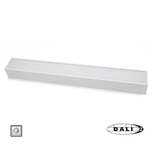 Adeleq LED Linear Wall Light 18W Natural White with Adjustable Intensity L60xH5.6cm