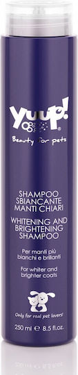 Whitening & Shine Shampoo for Dog and Cat Hair Yuup 250 Ml