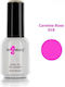 Angelacq Gel Nail Polish Carmine Rose 018 15ml