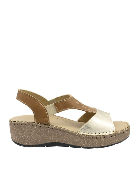 Castor Anatomic Anatomic Women's Summer Tabac B...