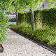 vidaXL Metallic Garden Hedge in Grey Colour 1m ...