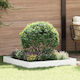 vidaXL Metallic Garden Hedge In White Colour 1x1m