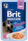 Brit Premium By Wet Cat Food in Pouch with Salmon and Meat 85gr