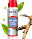 Koro-Derma Gartenpflege Salbe In Flasche Applikator 150g