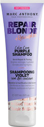 Anthony Șampon pentru Scalp Sensibil pentru Păr Vopsit 237 ml Anthony Șampon pentru Scalp Sensibil pentru Păr Vopsit 237 ml